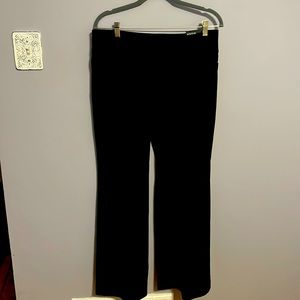 Express Editor Pants